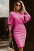 Stylish Boat Neck Sweater Dress