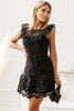 Cap Sleeve Lace Mini Dress